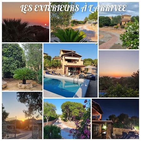 Villa Saba Olbia Esterno foto