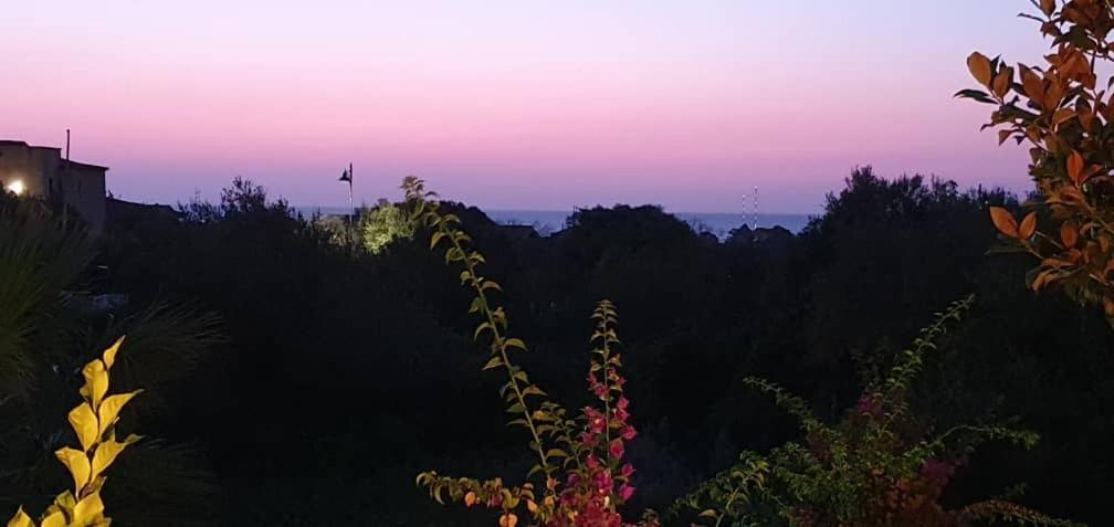 Villa Saba Olbia Esterno foto