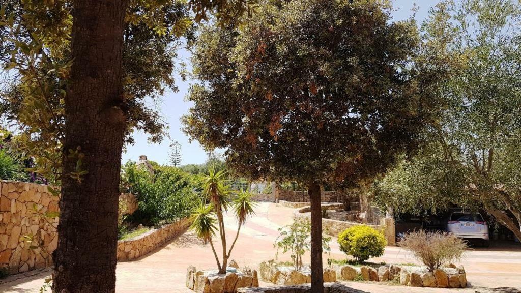 Villa Saba Olbia Esterno foto