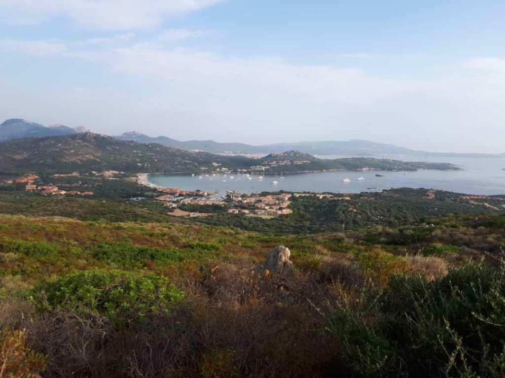 Villa Saba Olbia Esterno foto