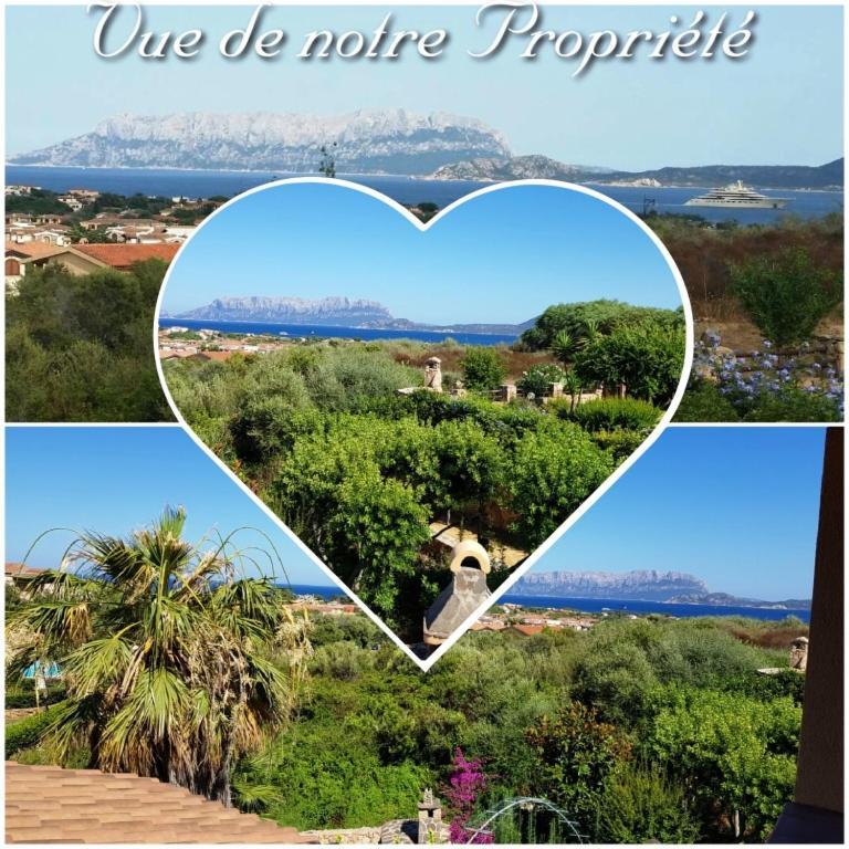 Villa Saba Olbia Esterno foto