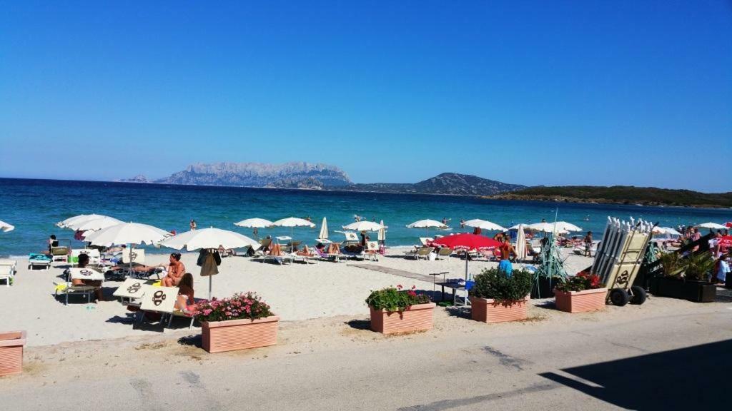 Villa Saba Olbia Esterno foto